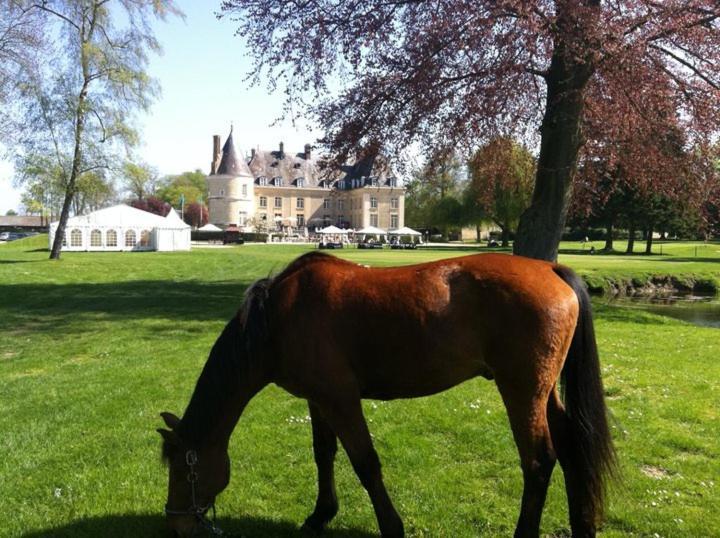 Chateau De Berticheres โชมงต์-อ็อง-เวกแซ็ง ภายนอก รูปภาพ